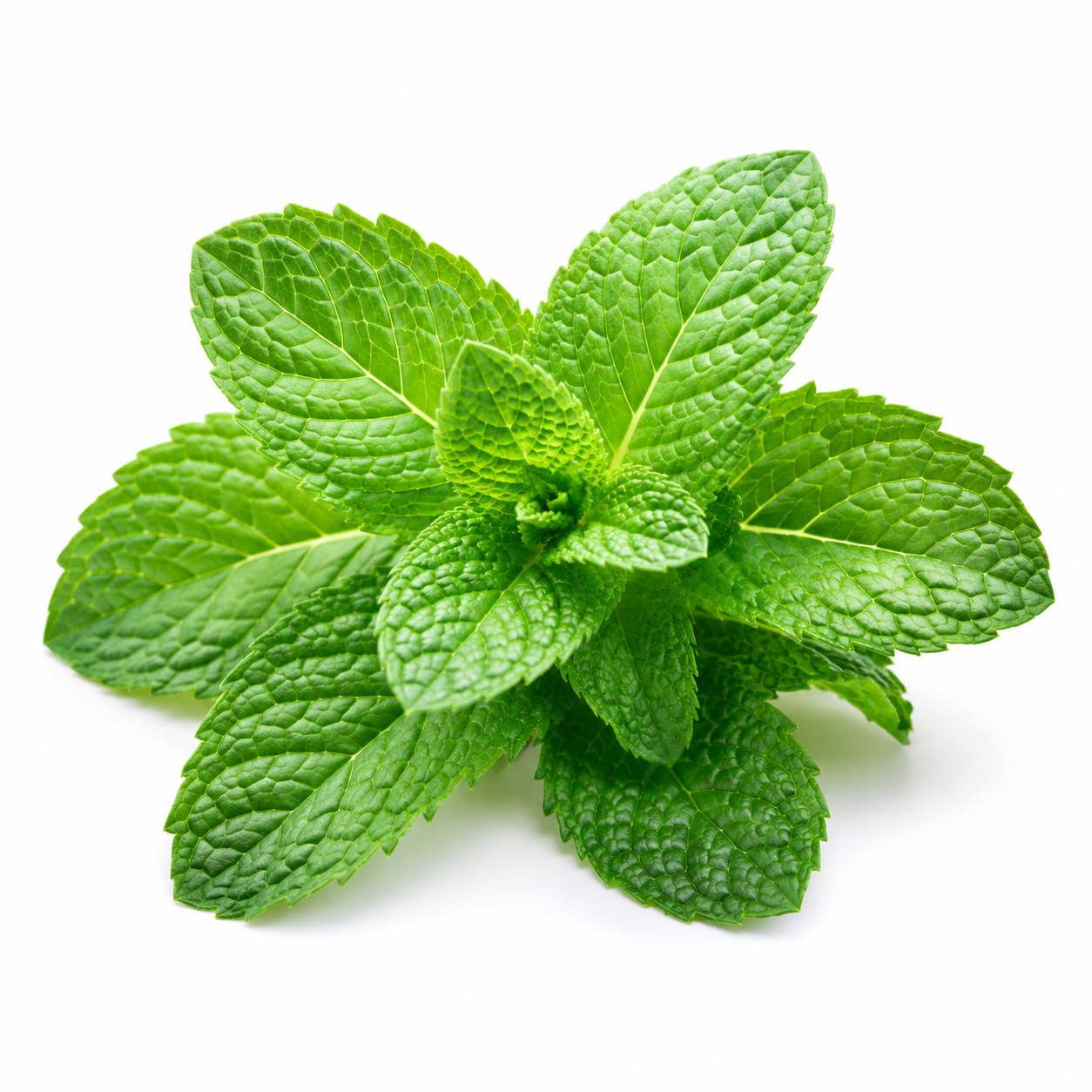 Menthol